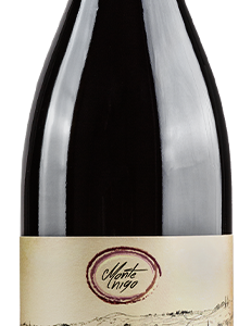 Vino - Valpolicella 2023 BIO/DEMETER DOC - 750ml